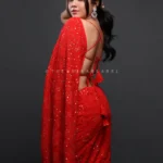 RedPureGeorgetteSareeEmbellishedWithMukaishWorkIndianHandEmbroideredChikanSaree_2